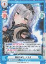 TD+ 脳筋女騎士 ノエル