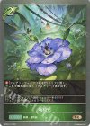  BP09-017 BR 妖精花 