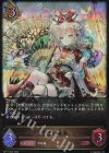  BP11-054 LG 万華の鳳凰 