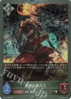 BP14-P28 BR・プレミアム 照明の案内人