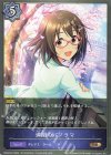  CP02-051 BR 満開のパノラマ 
