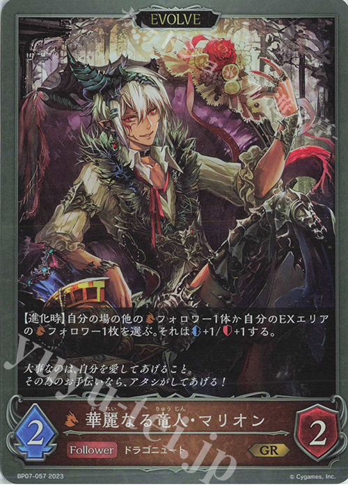 GR 華麗なる竜人・マリオン | 販売 | [BP07]森羅鋼鉄 | Shadowverse EVOLVE