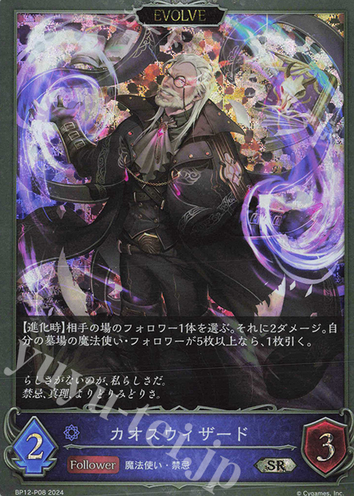 SR・プレミアム カオスウィザード | 販売 | [BP12]黒鉄の侵略者 | Shadowverse EVOLVE