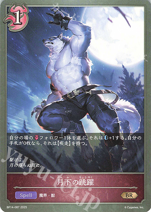 魔光騎聖ブラッディ・シャドウ [P78/Y8] | トレカカク～デュエマ
