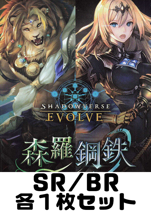 森羅鋼鉄 SR/BR各1枚セット