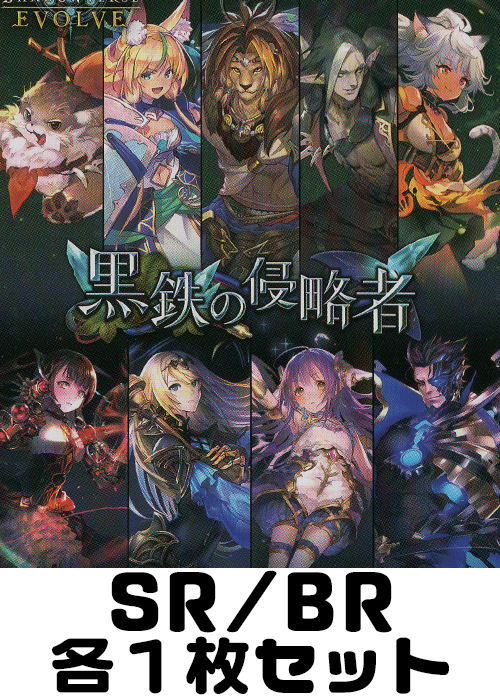 黒鉄の侵略者 SR/BR各1枚セット