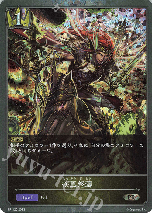 PR 疾風怒濤 | 販売 | [PR-102]〜[PR-200] | Shadowverse EVOLVE