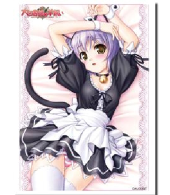 ブシロードスリーブコレクションHG Vol.488 大図書館の羊飼い 『御園 千莉』 | 販売 | サプライ
