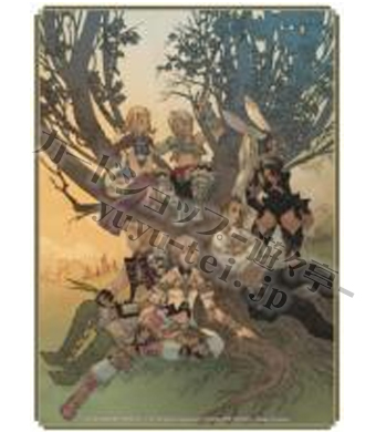 FINAL FANTASY キャラクターカード スリーブ FINAL FANTASY XII ＜B＞ | 販売 | サプライ