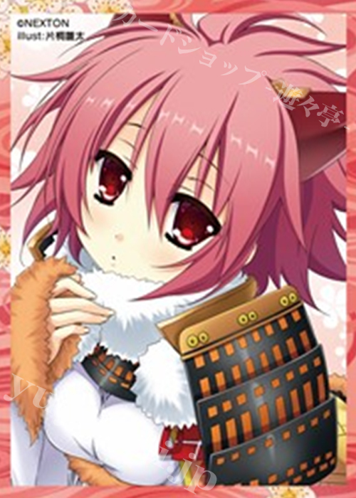 NEXTONガールズスリーブコレクション Vol.040 戦国†恋姫 「光璃」 | 販売 | サプライ