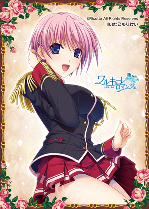 アニメ ゲーム グッズ まとめ売り ねくねっとガールズスリーブコレクション Vol.017 ワルキューレ