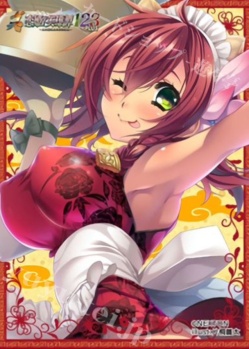 NEXTONガールズスリーブコレクション Vol.062 真・恋姫†英雄譚 「梨晏」 | 販売 | サプライ