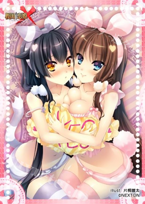 NEXTONガールズスリーブコレクション Vol.063 戦国†恋姫X 「久遠＆結菜」 | 販売 | サプライ