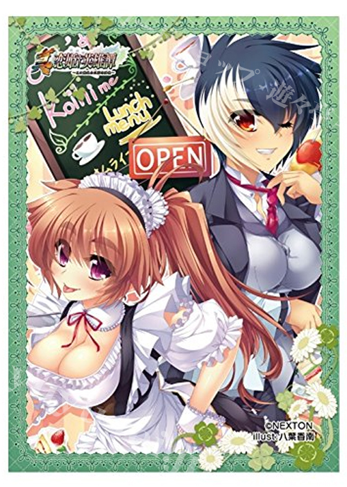 NEXTONガールズスリーブコレクション Vol.072 真・恋姫†英雄譚 「蒲公英＆焔耶」 | 販売 | サプライ