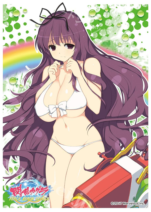 キャラクタースリーブ EN-697 閃乱カグラ PEACH BEACH SPLASH 『紫(B)』 | 販売 | サプライ