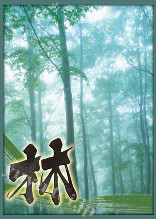 ブロッコリーハイブリッドスリーブ 「風林火山 -林-」改 | 販売 | サプライ