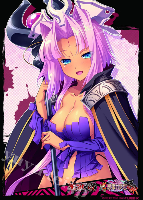 NEXTONガールズスリーブコレクション Vol.093 真・恋姫†夢想 「孫権・蓮華(黒獣ver)」 | 販売 | サプライ