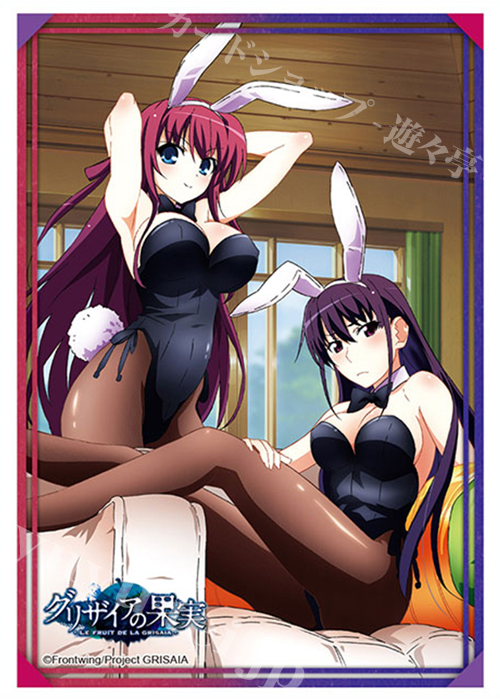 ブシロードスリーブコレクションHG Vol.2682 グリザイアの果実 『由美子＆天音』 | 販売 | サプライ