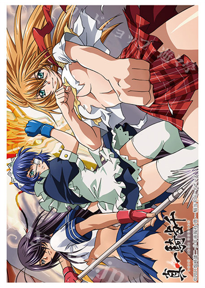 ブシロードスリーブコレクションHG Vol.3436 一騎当千 『孫策・呂蒙・関羽』 | 販売 | サプライ