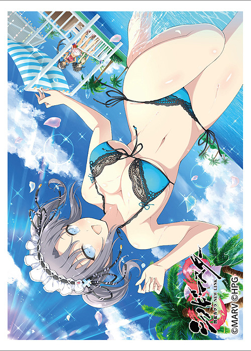 閃乱カグラ 雪泉 水着 スリーブ - daterightstuff.com