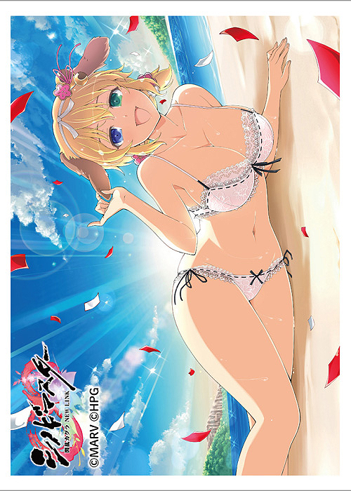 シノビマスター 閃乱カグラ NEW LINK スリーブ 『両奈／爆乳祭・参』 | 販売 | サプライ