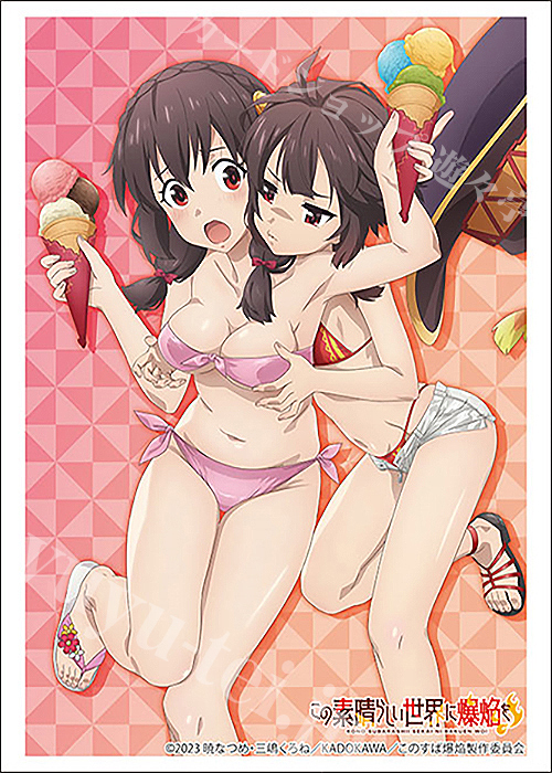 ブシロードスリーブコレクションHG Vol.3869 この素晴らしい世界に爆焔を！『ゆんゆん&めぐみん』 | 販売 | サプライ