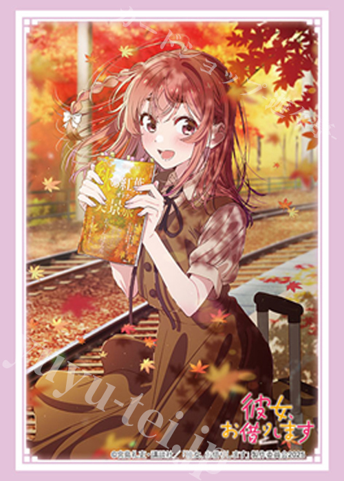ブシロードスリーブコレクションHG Vol.4917 彼女、お借りします『桜沢 墨』デートver. Part.2  (10月31日 発売)