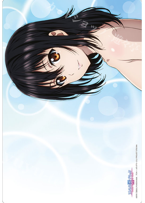 ブシロード ラバーマットコレクション Vol.341 ストライク・ザ・ブラッドIII 『姫柊雪菜』 | 販売 | サプライ