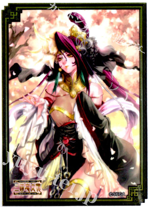 三国志大戦tcg　王桃　限定スリーブ　宴 Amazon | 三国志大戦トレーディングカードゲーム オフィシャル