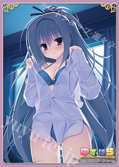 ブロッコリー トレカアイテムくじSP 「ゆずソフト」第5弾 E-4 キャラクタースリーブEX(60枚入り) 「DRACU-RIOT! エリナ・オレゴヴナ・アヴェーン」 | 販売 | サプライ