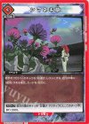  UA21BT/YYH-1-095 C シマネキ草 