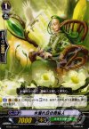  BT05/046 C 木漏れ日の貴婦人 