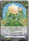  D-BT09/T01 T ノブレスローズ  
