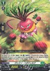  D-BT13/055 R プンプン・カオマッカブ 