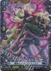  D-BT13/FR14 FR 艶美なる一夜 ラプチュラス 