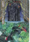  D-SS10/T01 T 覚醒を待つ竜 ルアード 