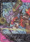  D-SS11/SIR08 SIR ディアブロスガールズ ステファニー(箔押し) 