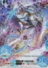 D-SS11/SIR24 SIR 柩機の竜 エンバイロ(箔押し)