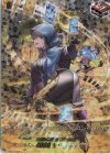  D-SS11/SIR29 SIR 加護の魔法 プロロビ(箔押し) 