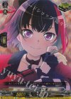 DZ-BT02/EX06 EX Afterglow 美竹 蘭 