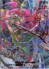  DZ-BT03/SEC01 SEC 雲水飛動 忍鬼 猩々童子(箔押し) 