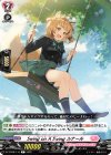  DZ-BT08/110 C Swing on A Swing ルナール 