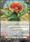  DZ-BT10/T01 T ノブレスローズ “ローザロッサ” 