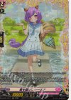  DZ-LBT01/FR11 FR 星を届けに ターミア  