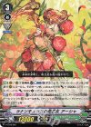 ラナンキュラスの花乙女アーシャ