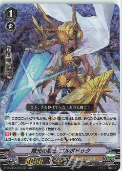 追跡付き】解放者型グルグウィントデッキ-