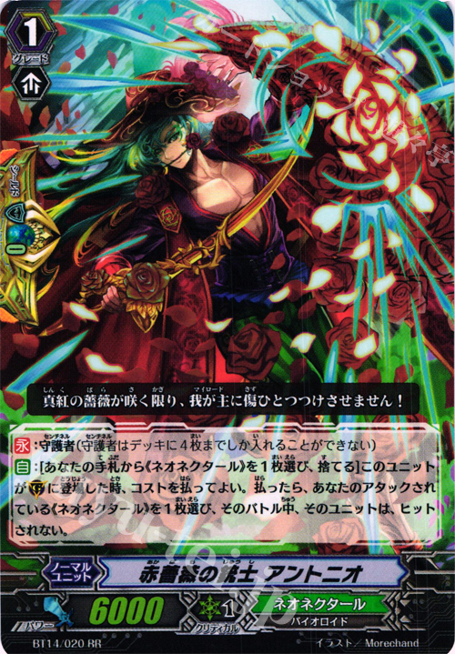 RR 赤薔薇の銃士 アントニオ | 販売 | [BT14] 光輝迅雷 | ヴァンガード