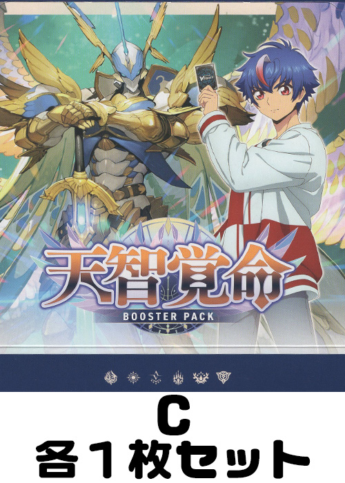 天智覚命 C各1枚セット