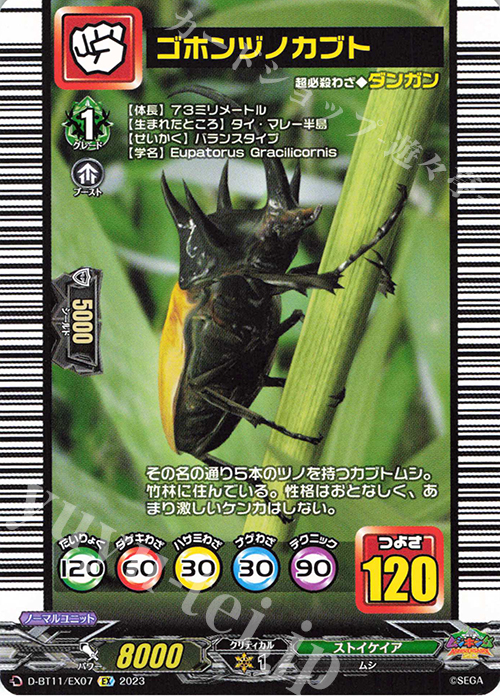 EX ゴホンヅノカブト | 販売 | [DBT11] 英雄激突 | ヴァンガード