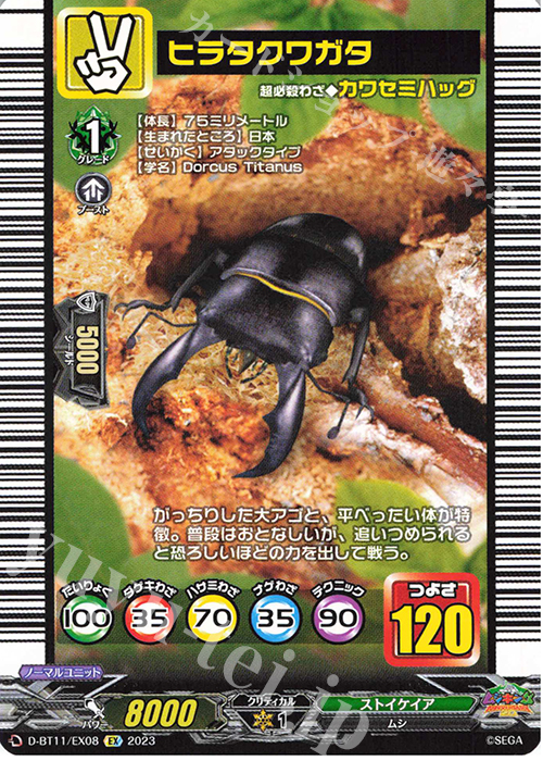 EX ヒラタクワガタ | 販売 | [DBT11] 英雄激突 | ヴァンガード